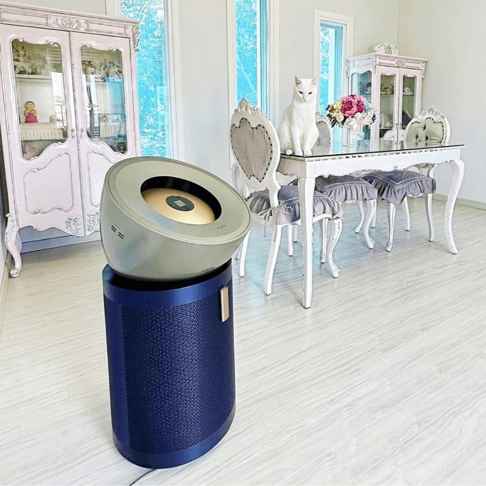 Máy lọc không khí DYSON Purifier Big + Quiet Formaldehyde BP03 màu nickel sáng/ xanh phổ