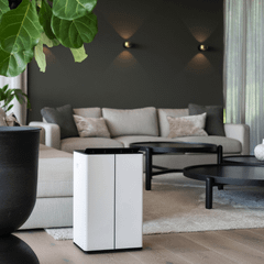 Máy hút ẩm và lọc không khí STADLER FORM LUKAS PRO 50L