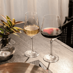 Bộ 6 ly vang Bohemia Sandra nhiều dung tích