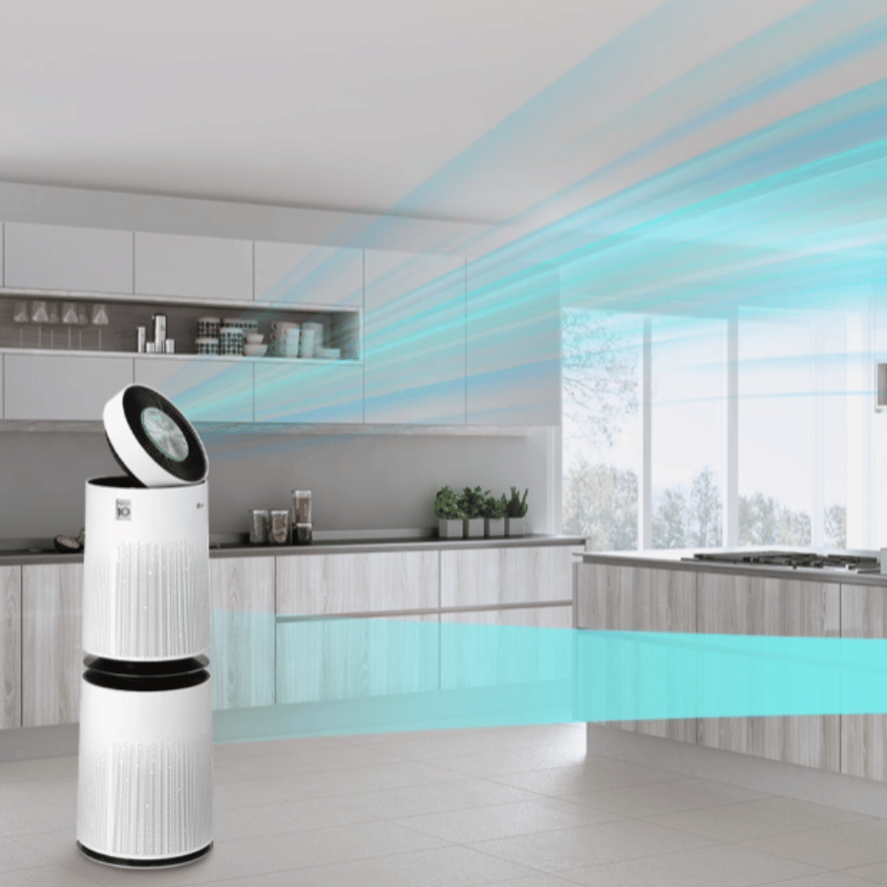 Máy lọc không khí LG 2 tầng AS10GDWH0 màu trắng