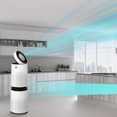 Máy lọc không khí LG 2 tầng AS10GDWH0 màu trắng