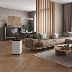 Máy hút ẩm và lọc không khí STADLER FORM LUKAS PRO 50L