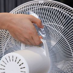 Quạt cây Trotec TVE26S màu trắng
