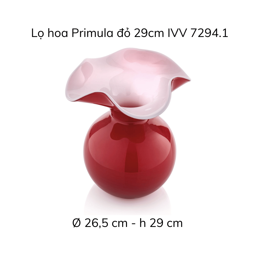 Lọ hoa IVV Primula nhiều màu sắc, kích cỡ