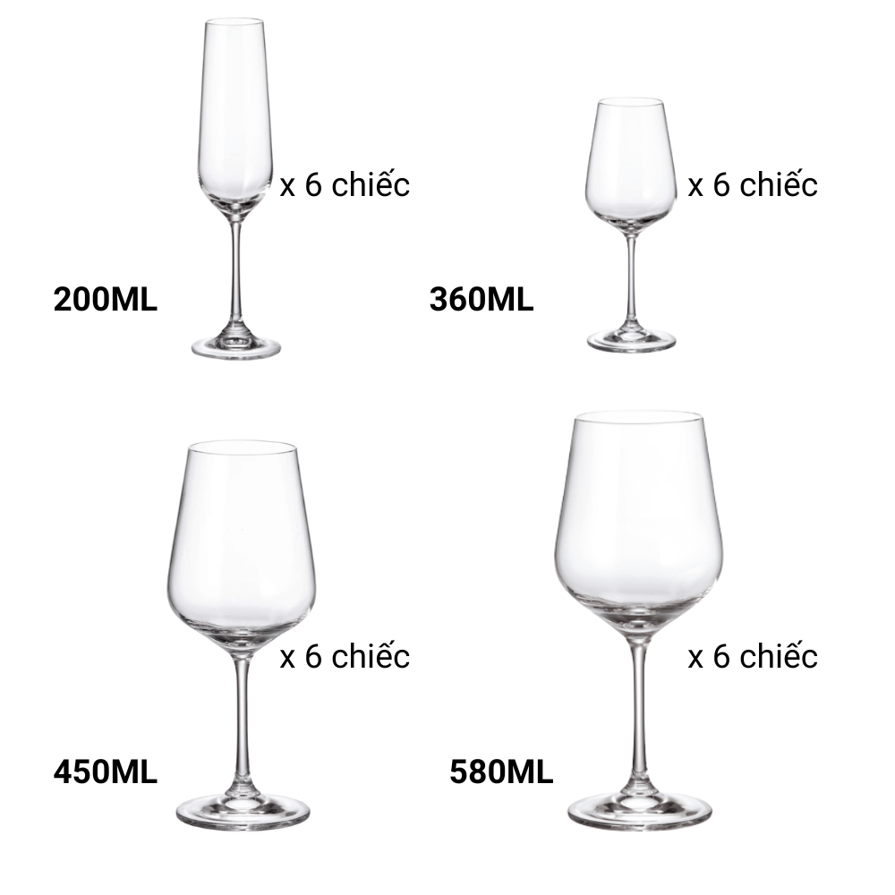 Bộ 6 ly Bohemia Strix, nhiều dung tích