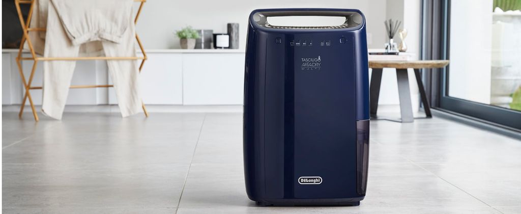 Máy hút ẩm Delonghi DEX216F 16L màu xanh