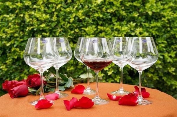 Set 6 Ly vang BOHEMIA Turbulence 570ml (xoáy quanh ly)