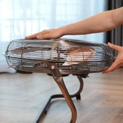 Quạt sàn Trotec TVM 17 45cm màu đồng