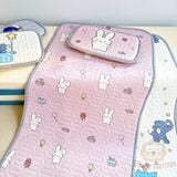  Set Chiếu Điều Hòa Kèm Gối Hermon HM2811 