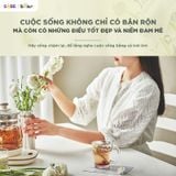  Máy Pha Trà Bear 1.5L HK-5H15L96 