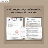  Máy Trộn Bột Bear 5L SM-5H50Z68 