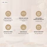  Nồi Nấu Chậm Bear 0.8L DDZ-A08T8 