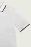 ÁO POLO TRẮNG - AP269 
