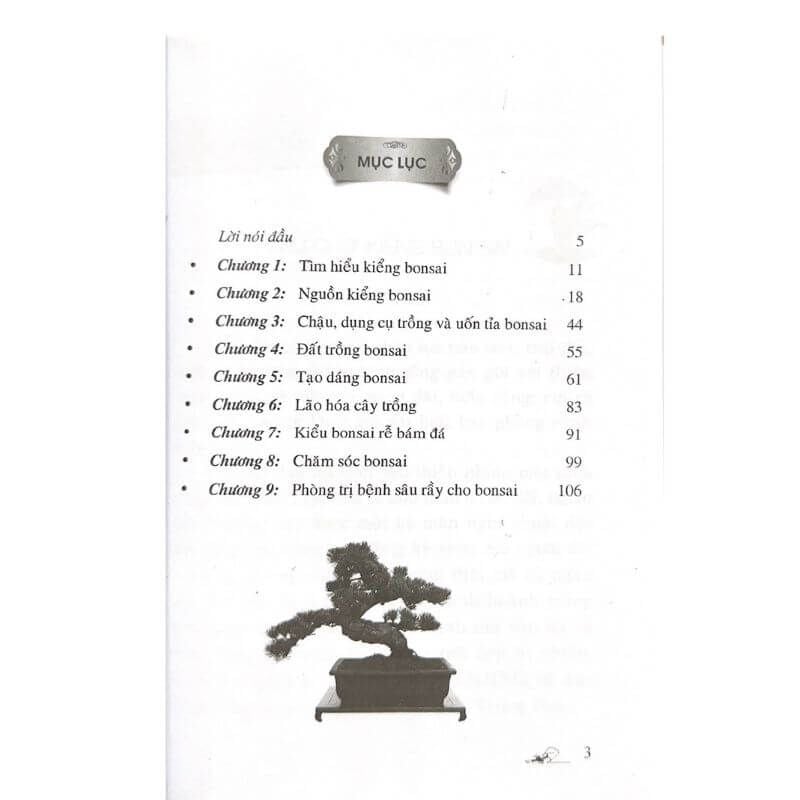 110 Câu Hỏi Đáp Chăm Sóc Và Tạo Dáng Bonsai (Tái Bản 2024) - Vanlangbooks
