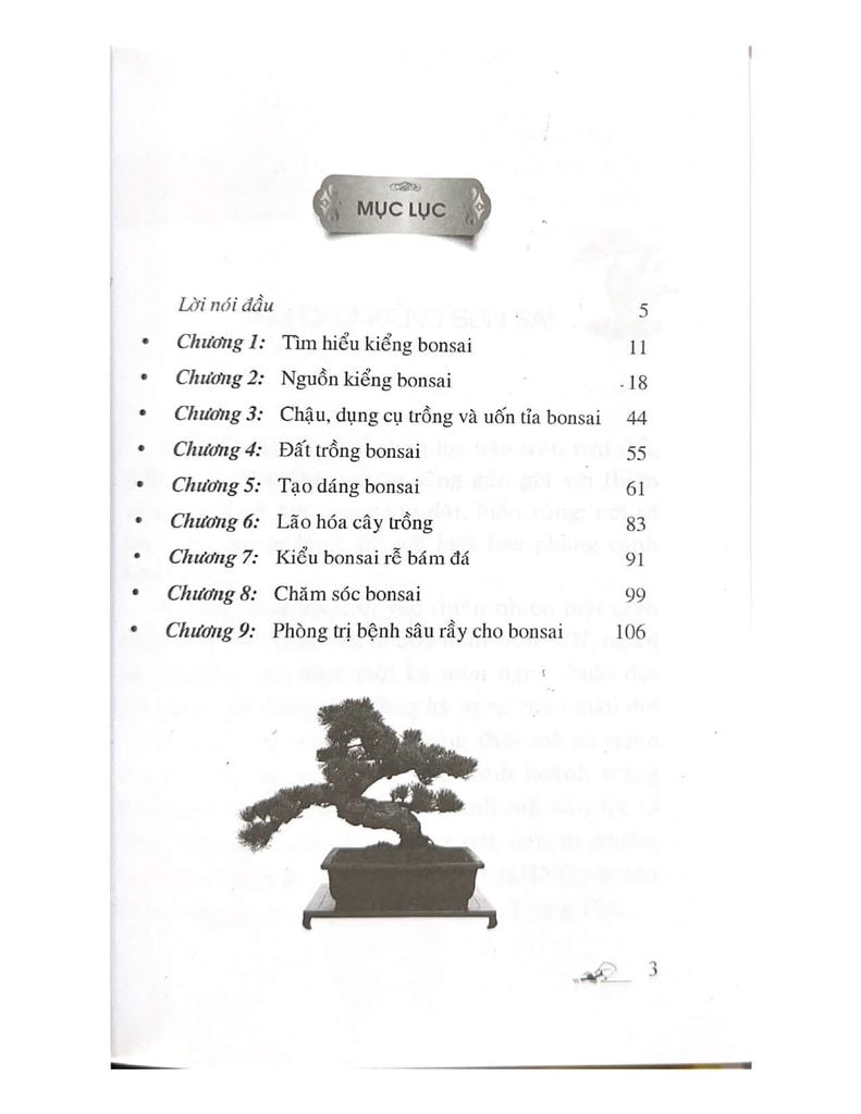 110 Câu Hỏi Đáp Chăm Sóc Và Tạo Dáng Bonsai (Tái Bản 2024) - Vanlangbooks