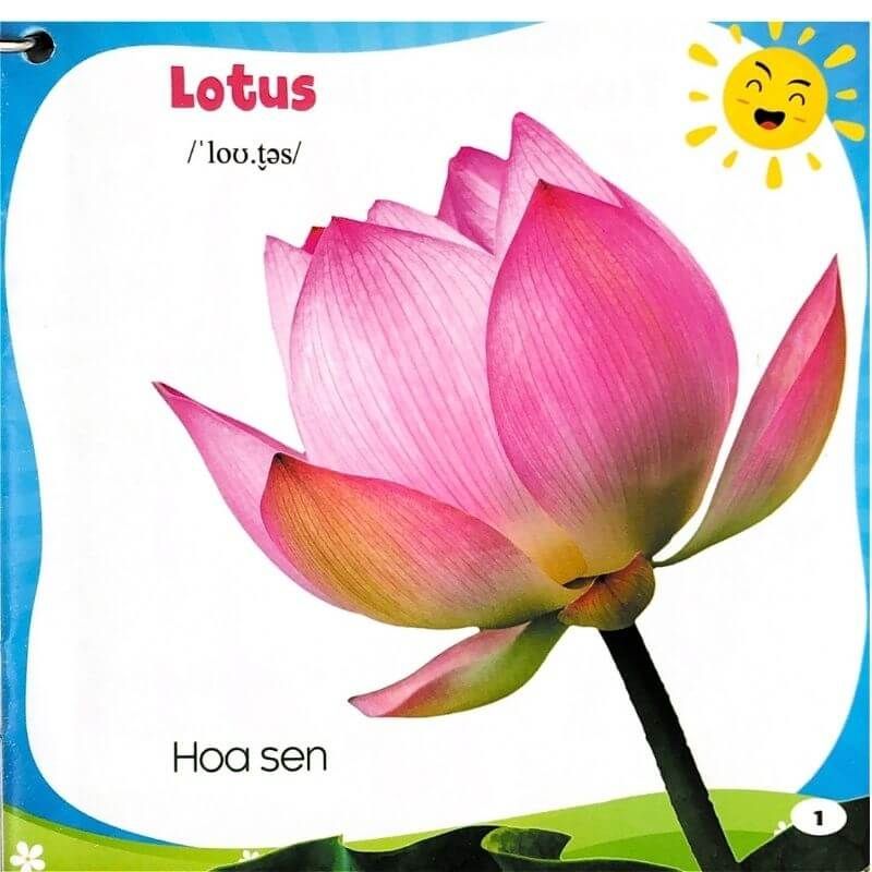 Bộ Bách Khoa Toàn Thư Cho Bé - Các Loài Hoa (Bộ 5 Cuốn) - Vanlangbooks