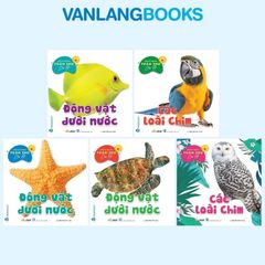 Bộ Bách Khoa Toàn Thư Cho Bé - Động Vật Dưới Nước (Bộ 5 Cuốn) - Vanlangbooks