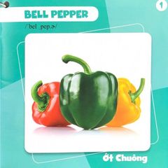 Bách Khoa Toàn Thư Cho Bé - Rau Củ (Bộ 5 Cuốn) - Vanlangbooks