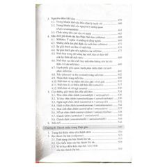 Bản Chất Đạo Đức Học Phật Giáo - Vanlangbooks