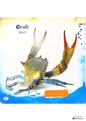 Bộ Bách Khoa Toàn Thư Cho Bé - Động Vật Dưới Nước (Bộ 5 Cuốn) - Vanlangbooks