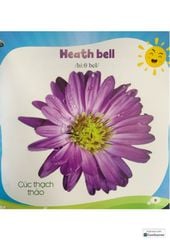 Bộ Bách Khoa Toàn Thư Cho Bé - Các Loài Hoa (Bộ 5 Cuốn) - Vanlangbooks