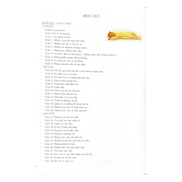 Cẩm Nang Mang Thai - Sinh Nở - Chăm Sóc Bé - Vanlangbooks