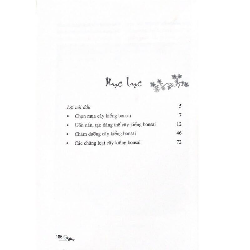Cây Kiểng Bonsai Trong Nhà - Vanlangbooks