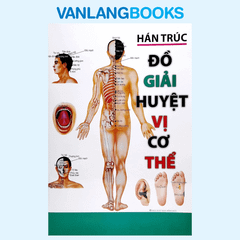 Đồ Giải Huyệt Vị Cơ Thể