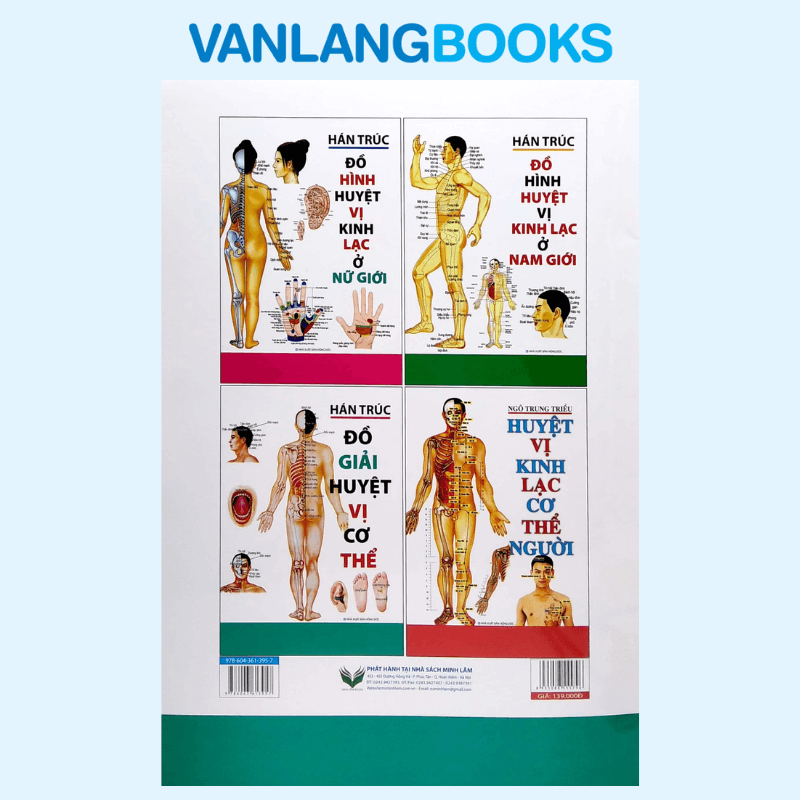Đồ Giải Huyệt Vị Cơ Thể
