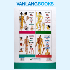 Đồ Giải Huyệt Vị Cơ Thể