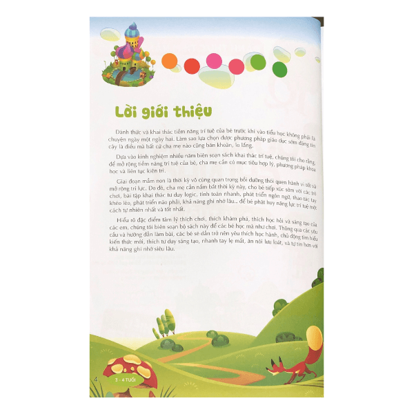 Đánh Thức Tiềm Năng Trí Tuệ - Quan Sát Ghi Nhớ (Tái Bản 2021) - Vanlangbooks