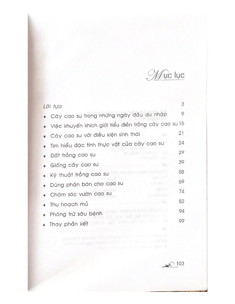 Kỹ Thuật Trồng Cây Cao Su Với Diện Tích Nhỏ - Vanlangbooks