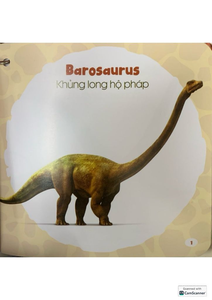 Bộ Bách Khoa Toàn Thư Cho Bé - Khủng Long (Bộ 5 Cuốn) - Vanlangbooks