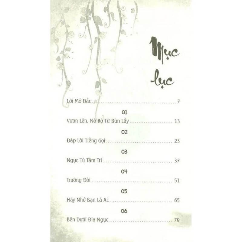 Mảnh Lực Trái Tim - Vanlangbooks