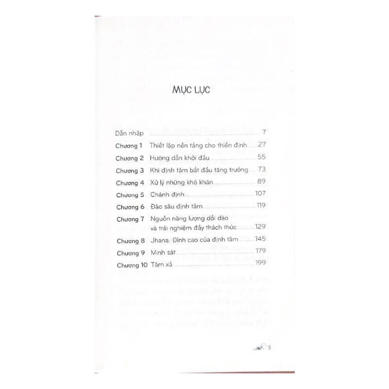 Nghệ Thuật Và Kỹ Năng Thiền Định Phật Giáo - Vanlangbooks