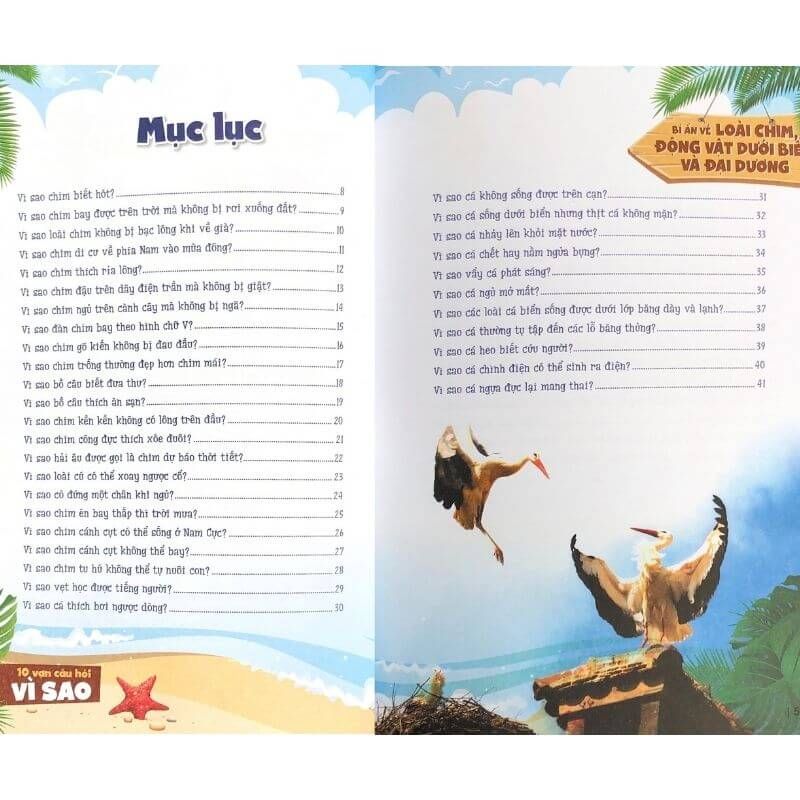 10 Vạn Câu Hỏi Vì Sao? Bí Ẩn Về Loài Chim, Động Vật Dưới Biển Và Đại Dương (Tái Bản 2024) - Vanlangbooks