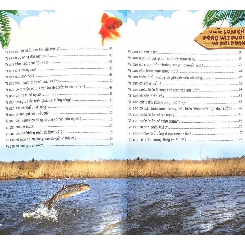 10 Vạn Câu Hỏi Vì Sao? Bí Ẩn Về Loài Chim, Động Vật Dưới Biển Và Đại Dương (Tái Bản 2024) - Vanlangbooks
