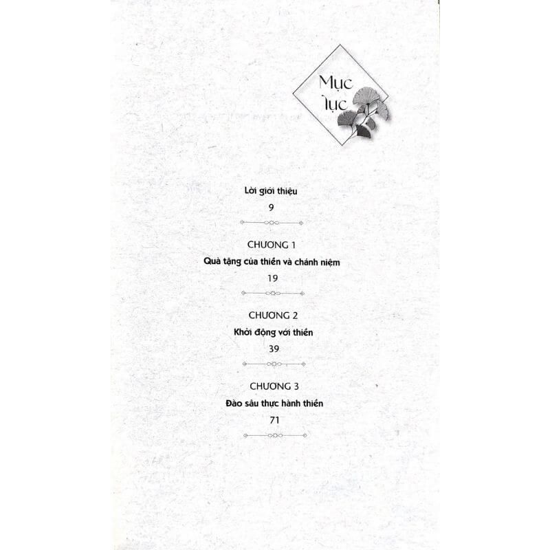 Thiền Như Một Phật Tử - Vanlangbooks