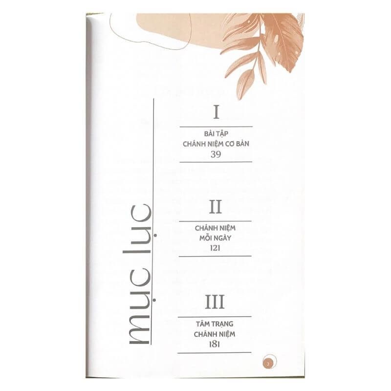 Thực Hành Chánh Niệm - Vanlangbooks