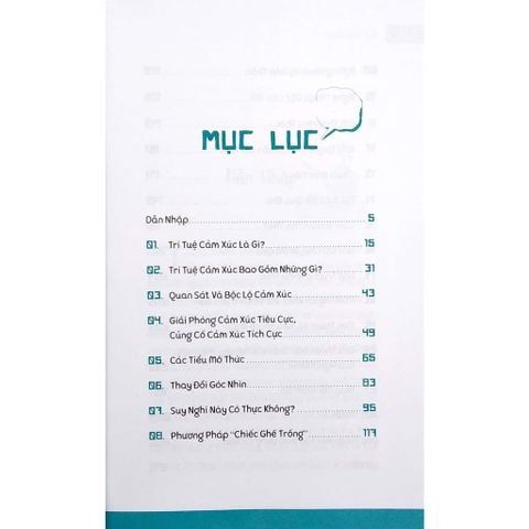 Trí Tuệ Cảm Xúc - Vanlangbooks