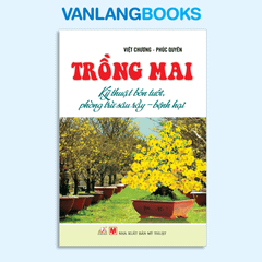 Trồng Mai - Kỹ Thuật Bón Tưới, Phòng Trừ Sâu Rầy, Bệnh Hại