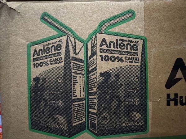  Thùng 48 Hộp Anlene Hương Socola 110ml 