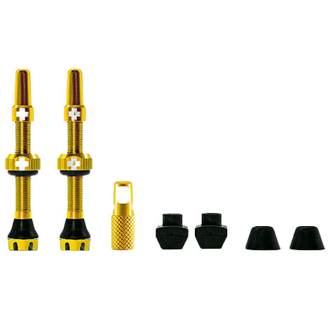 Tubeless Valve Kit V2