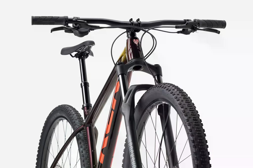 Procaliber 6 [2027]