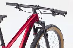 TREK PROCALIBER 8 - 2026