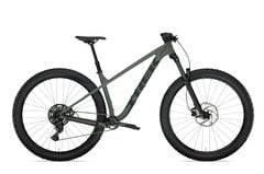 Roscoe 6 2024