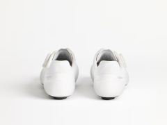 Velocis