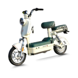  Xe đạp điện TAILG JS32 