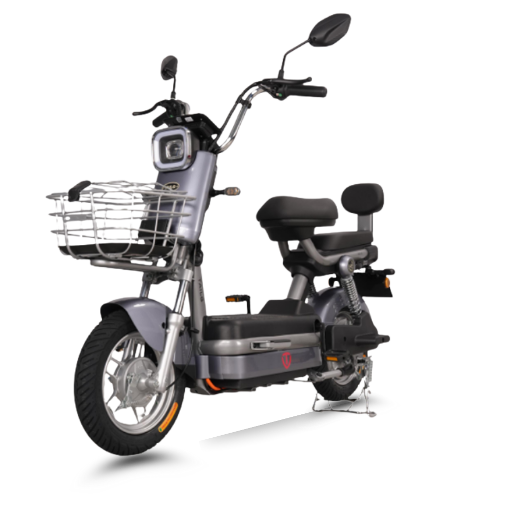 Xe đạp điện TAILG JK51 – TP BIKER XE CHO TƯƠNG LAI