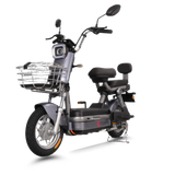  Xe đạp điện TAILG JK51 